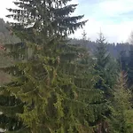 Velveta 호텔 Špindlerŭv Mlýn