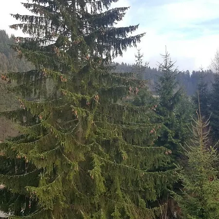 Velveta Otel Špindlerŭv Mlýn